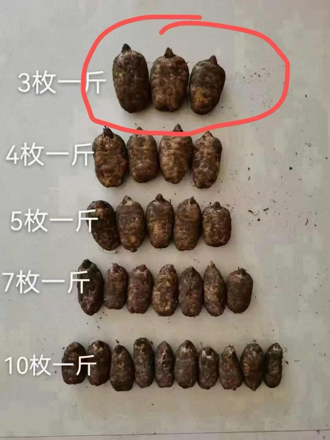 云南昭通彝良天麻产地直供