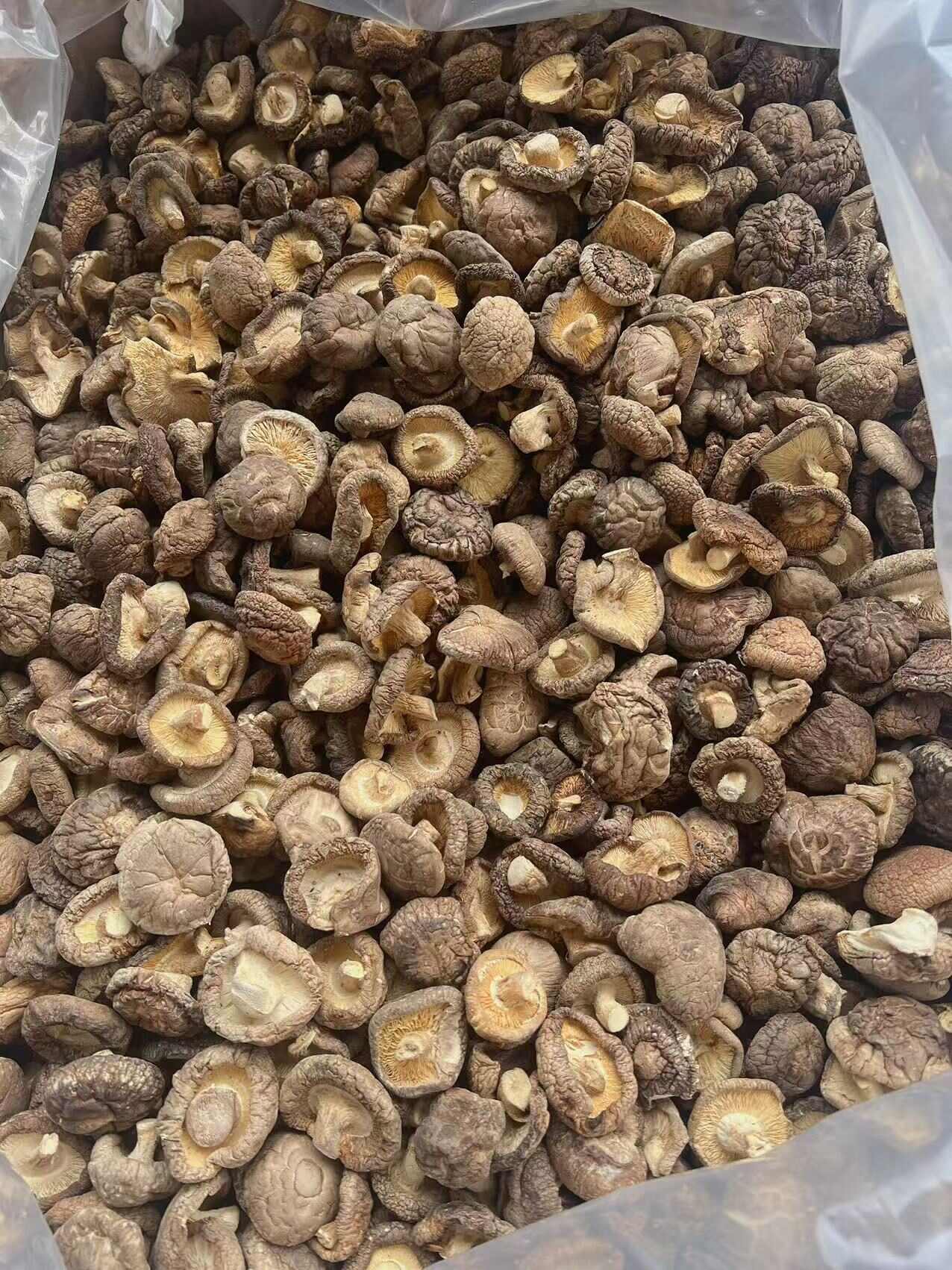 香菇 地摊电商批发香菇干冬菇花菇香菇干货批发