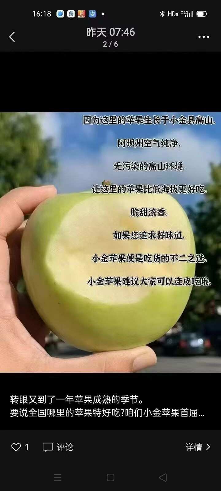 四川小金青苹果 产地直发 支持代发 物流配送