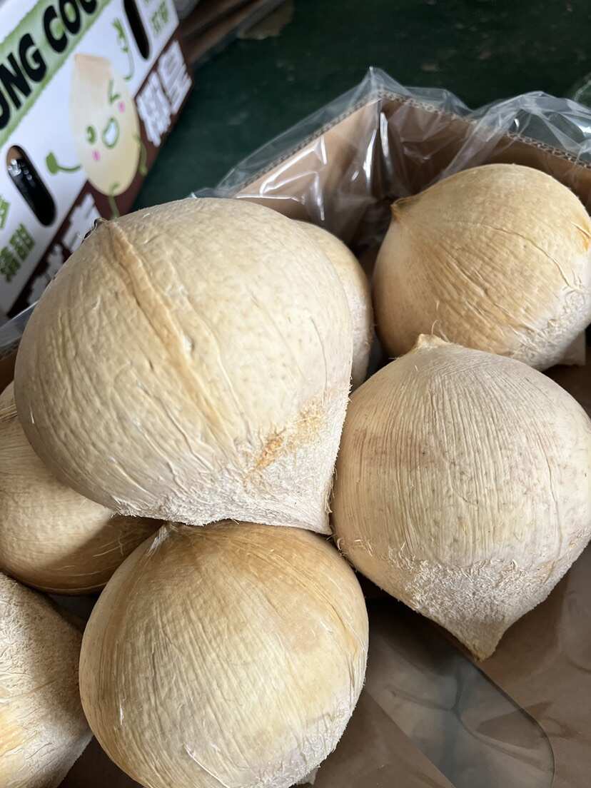 越南椰皇口感浓香甜味足24个头32个头40个头工厂直发