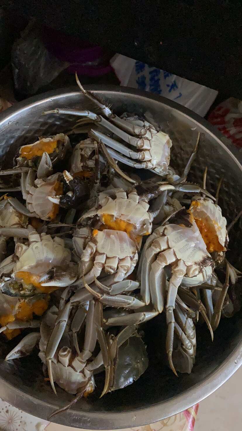 湖北洪湖大闸蟹25公，产地直销，一手货源，可拼规格，全国可发