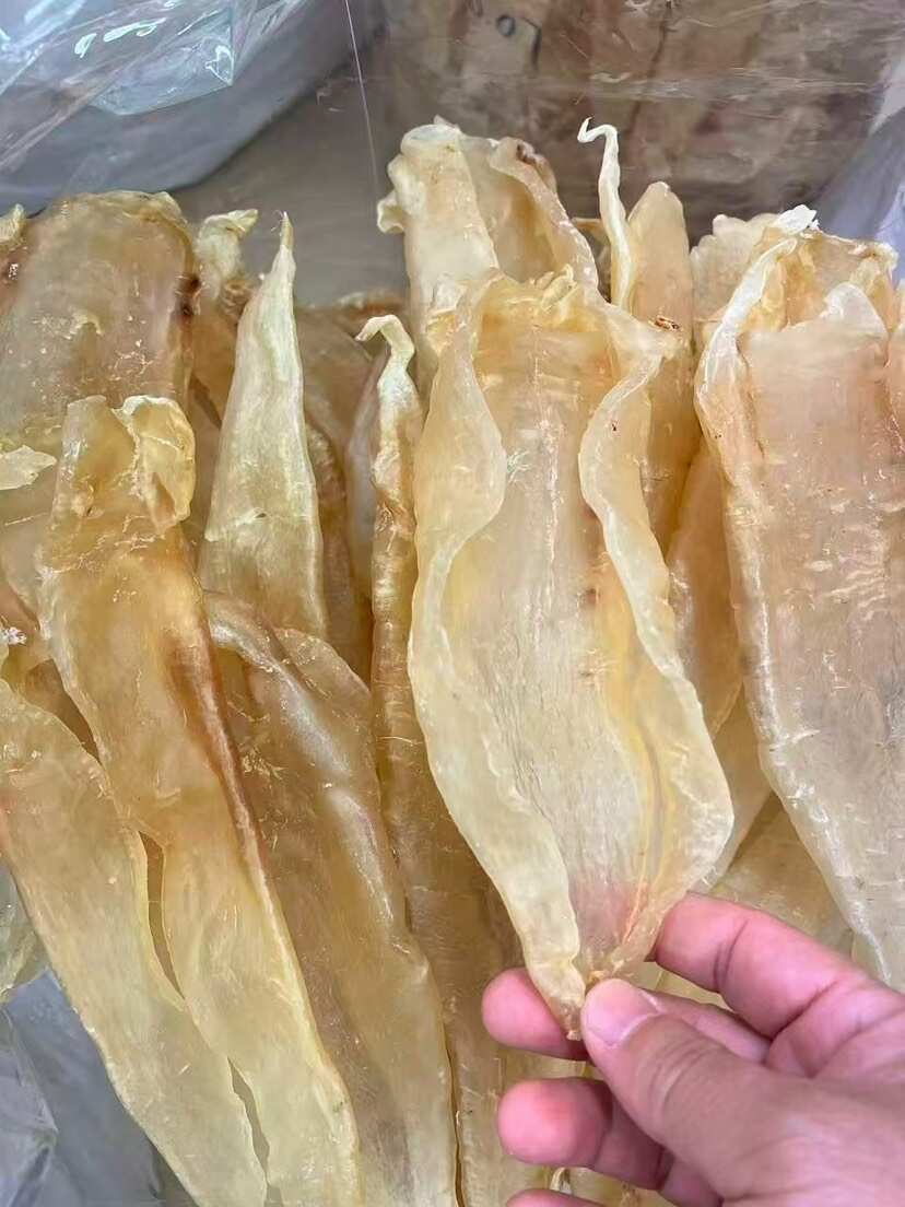 巴西北海母 精选漂亮货 厚肉囗感胶质好 5头