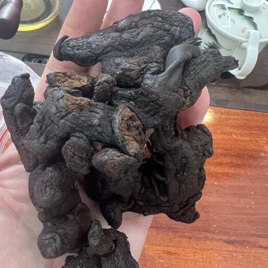 紫金县广东河源黄精 九蒸九晒干黄精 很香 泡酒 煲汤 中药材