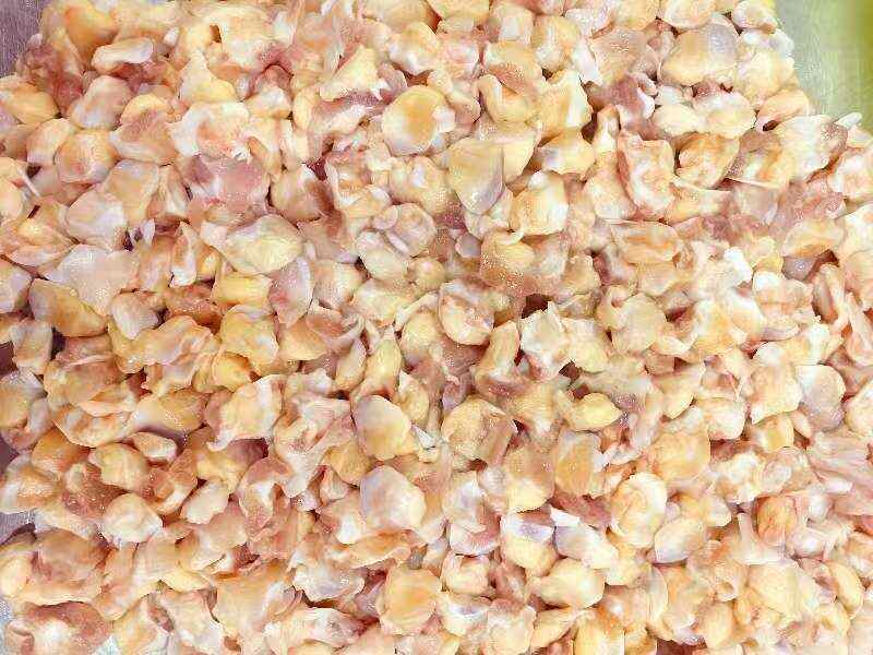 0.8*10的优质膝软骨/掌中宝 肉少 3到5克 现货