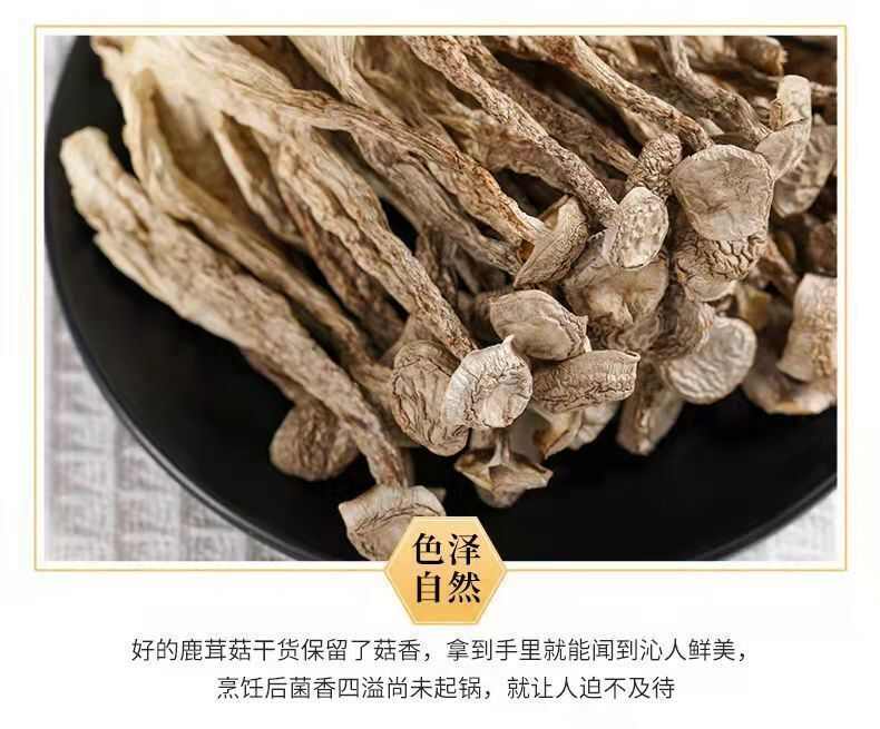 【整根不碎】鹿茸菇干货鹿耳菇批发鹿茸菌脆脆菇煲汤炖汤食材菌菇