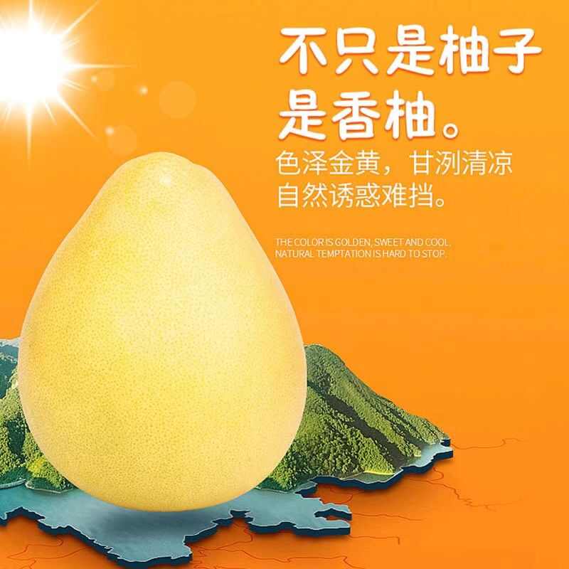 瑶山香柚 江永香柚 4粒礼盒装 批发零售 一件代发