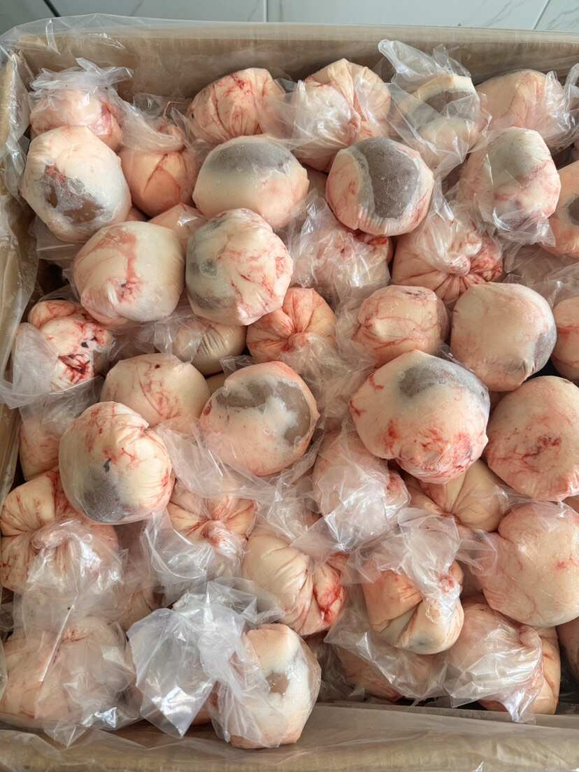 锡盟原油羊腰