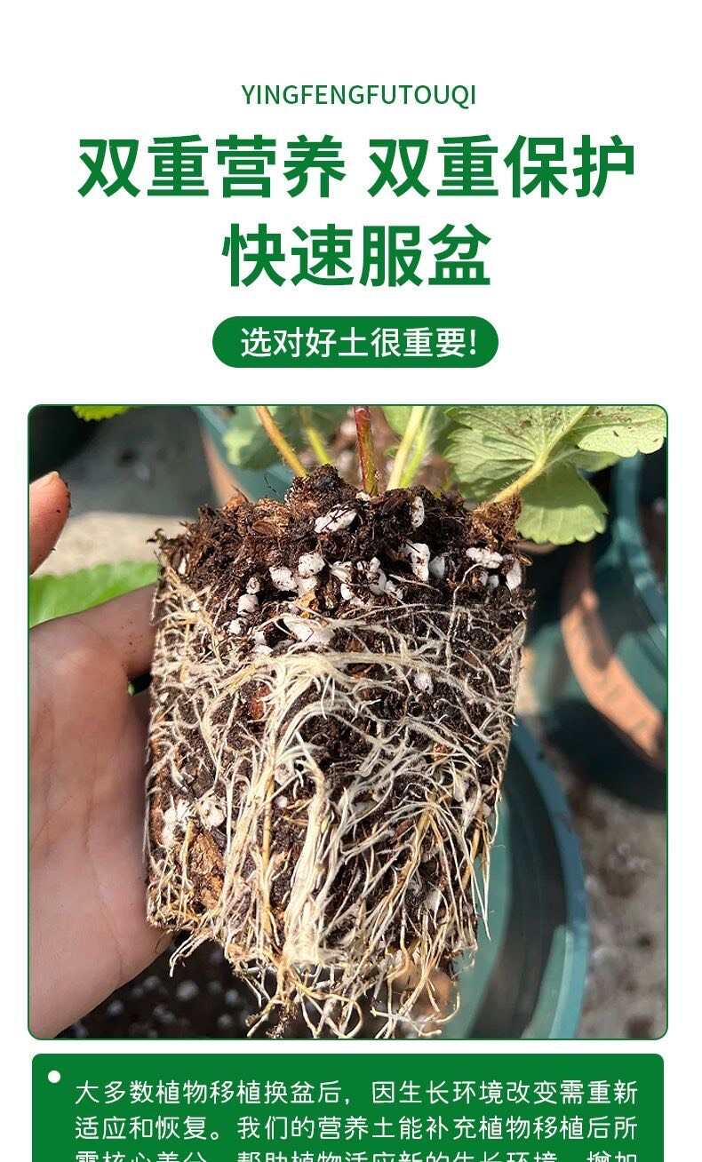 种菜营养土种小葱青菜番茄专用土花草专用土有机土壤园艺养花土