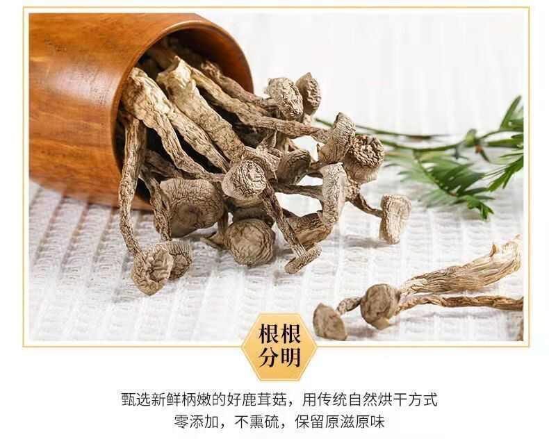 【整根不碎】鹿茸菇干货鹿耳菇批发鹿茸菌脆脆菇煲汤炖汤食材菌菇