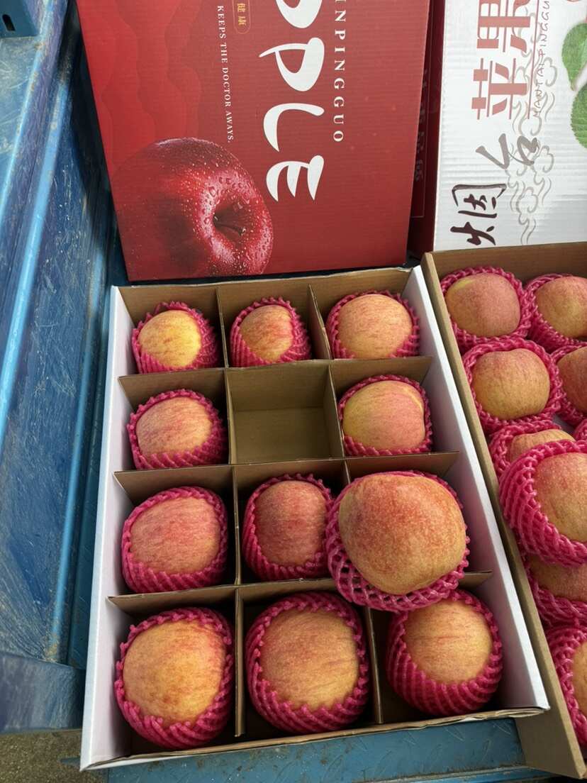 山东烟台爱妃苹果，实拍实拍实拍