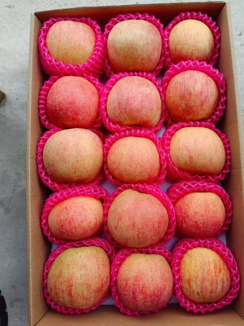 山东烟台爱妃苹果，实拍实拍实拍