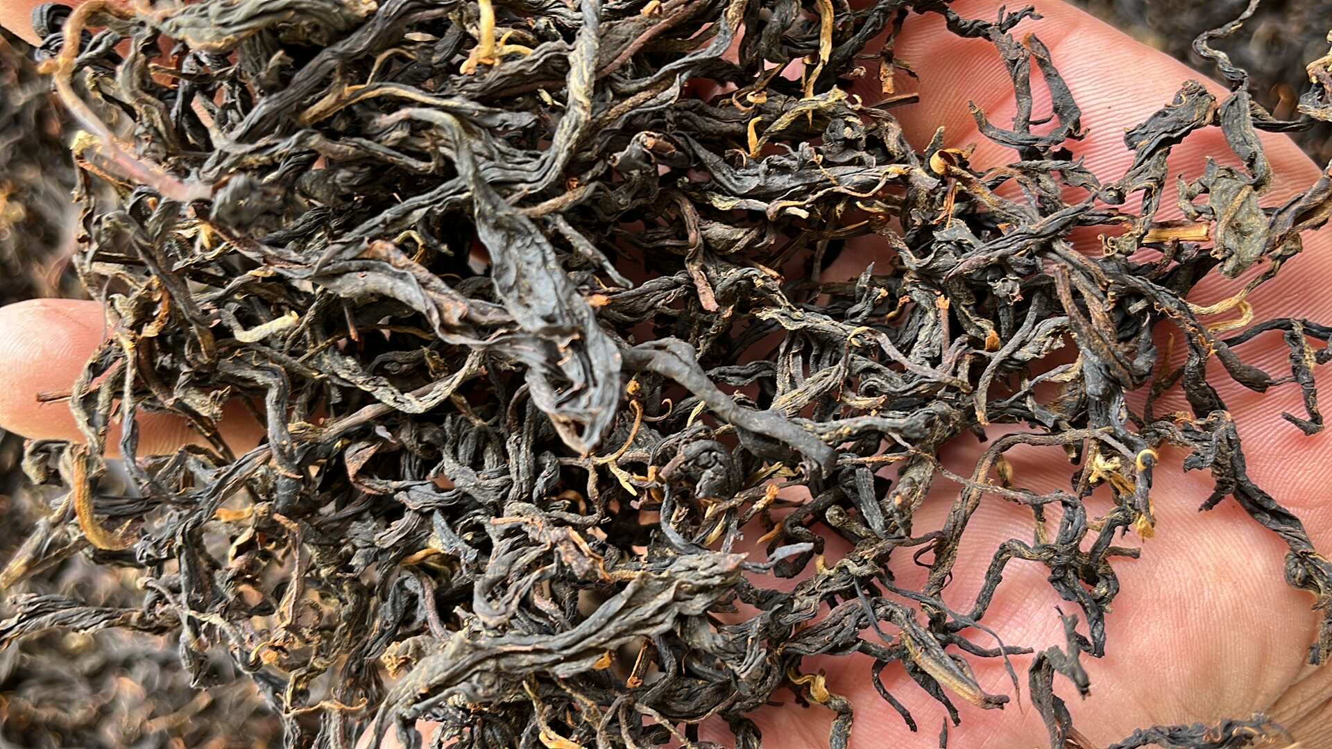 云南凤庆滇红晒红茶 散装产地直发