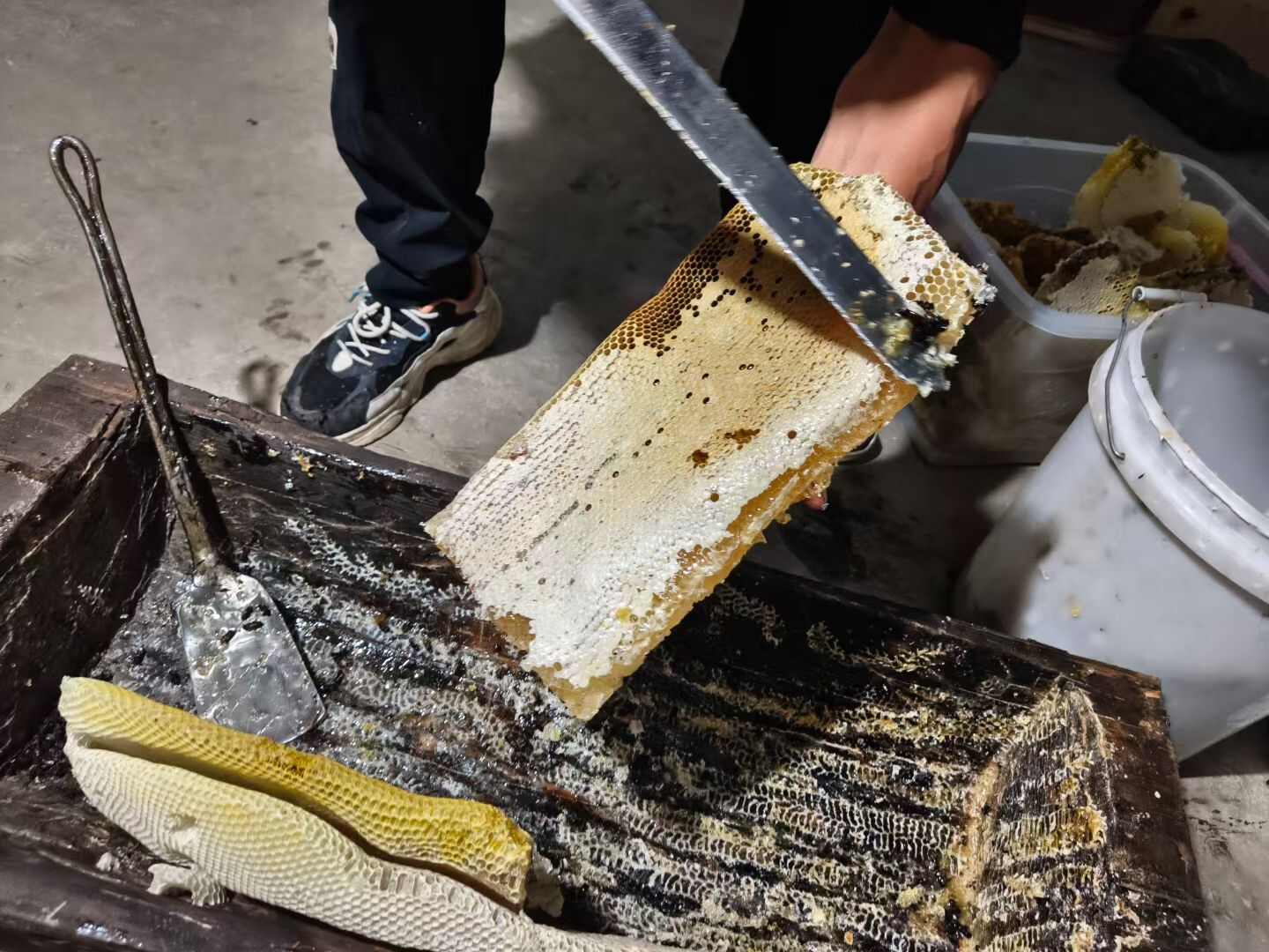 甘肃舟曲蜂巢蜜 24个月保质 天然蜂蜜