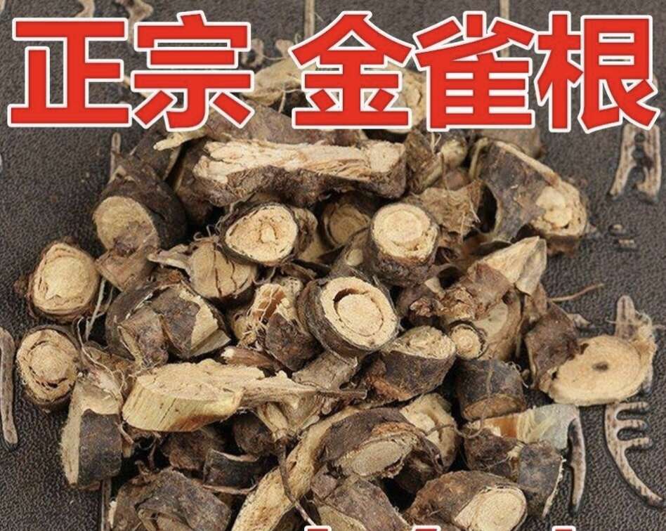金雀根 各种规格金雀根切片 批发零售