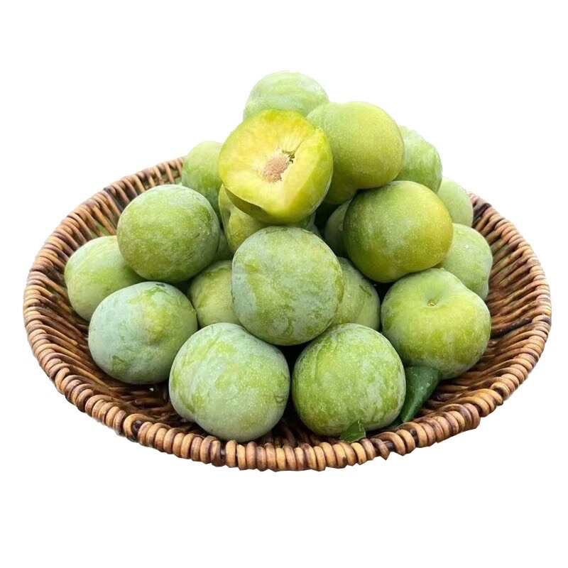 正宗蜂糖李子树苗浙江早熟嫁接脱骨李子树苗南方种植大全对版包活