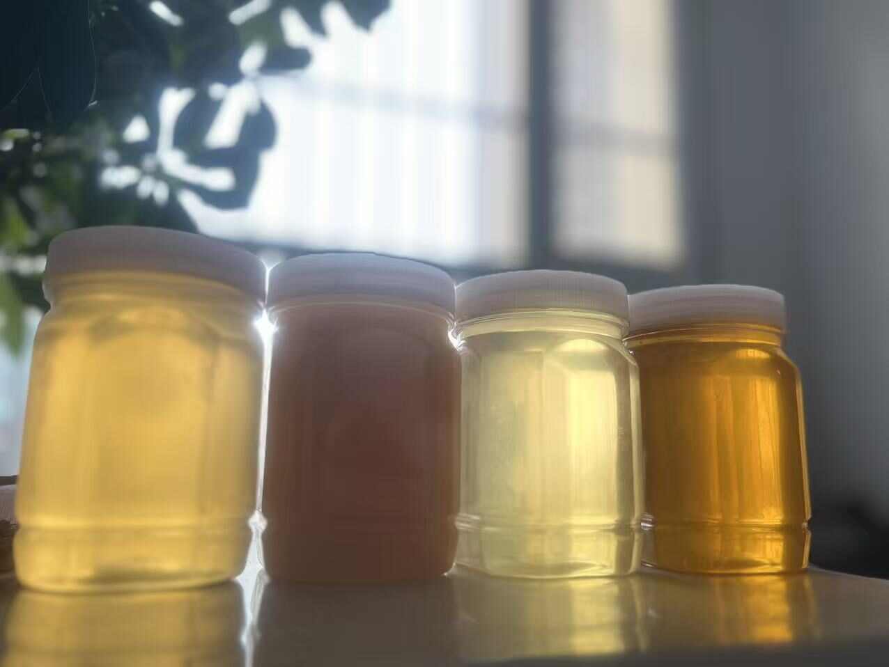 河北武强油菜蜜 荆花蜜 槐花蜜 枣花蜜18-24个月保质期