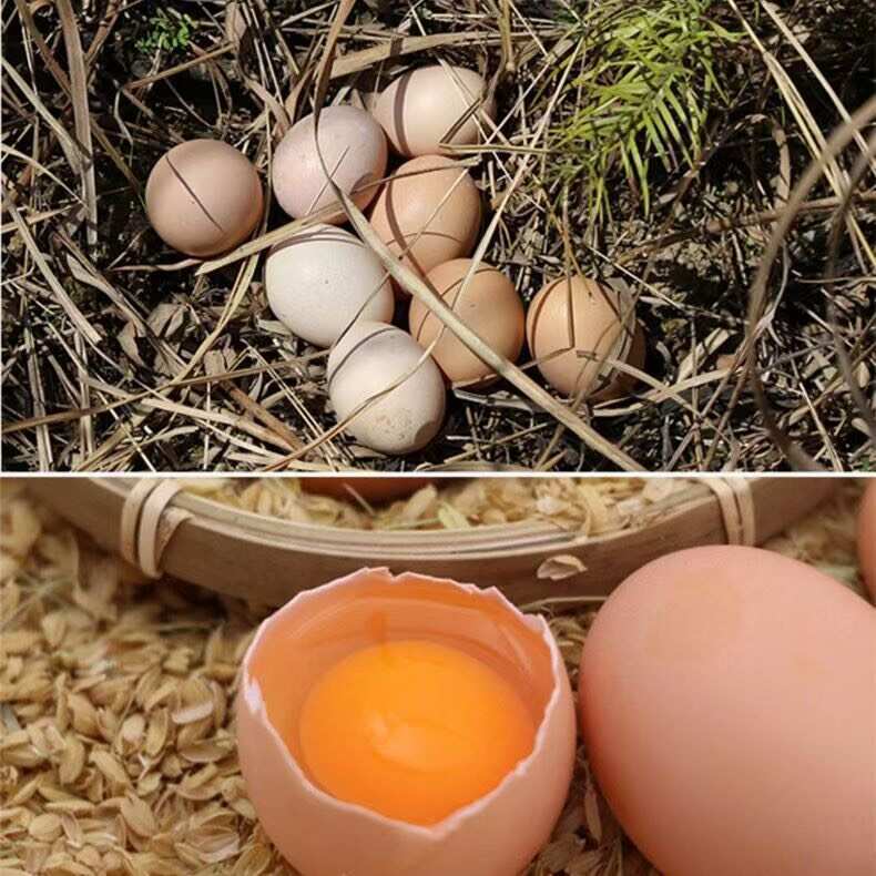 柴鸡蛋