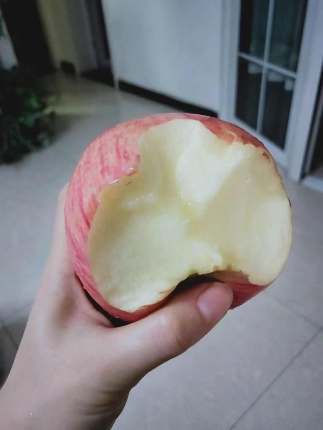 红富士苹果，现摘现发，新鲜有保证，味道鲜美
