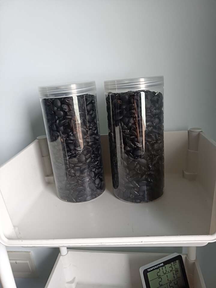 喙尾琵琶甲也叫臭屁虫，干货！