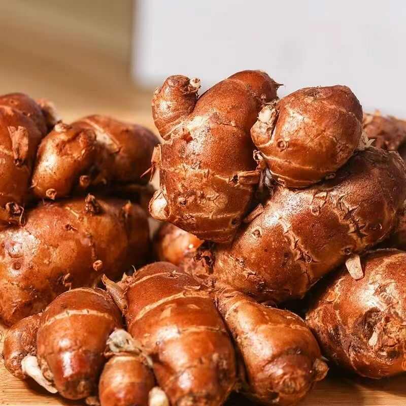 广东广州｜海南沙姜 可制作白切鸡 椰子鸡 沙姜饭等多种美食