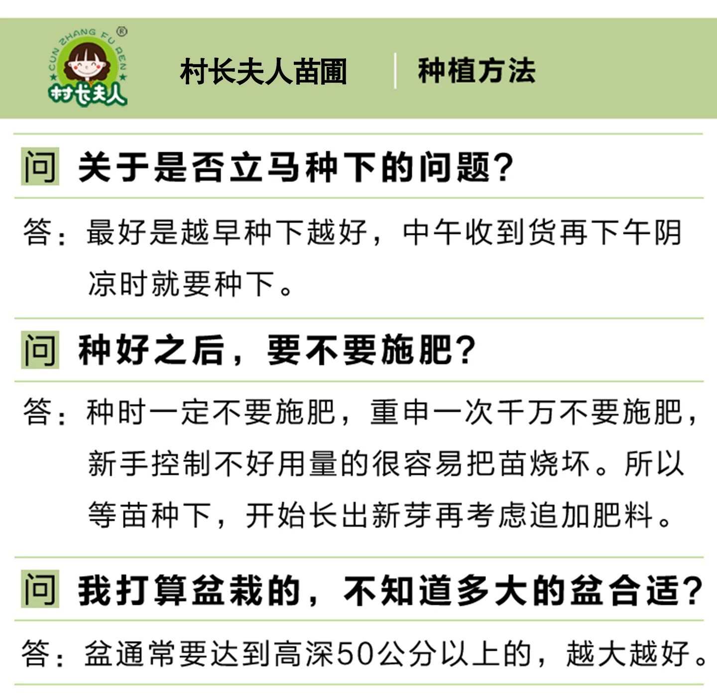 正宗蜂糖李子树苗浙江早熟嫁接脱骨李子树苗南方种植大全对版包活