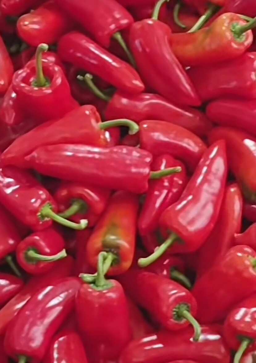 电商货，青椒，红椒