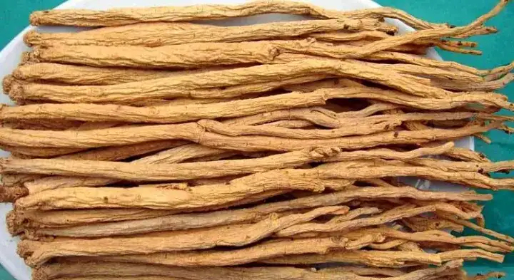 甘肃原汁原味党参高含量一斤也是批发价