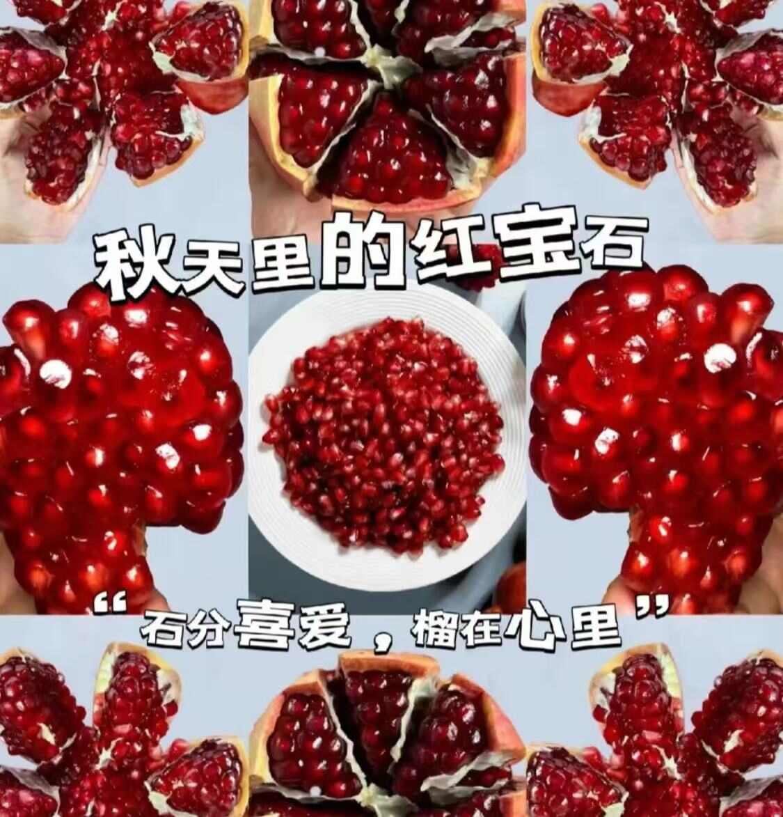 石榴