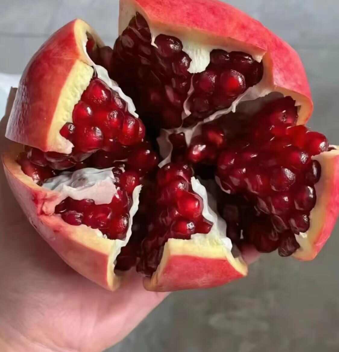 石榴