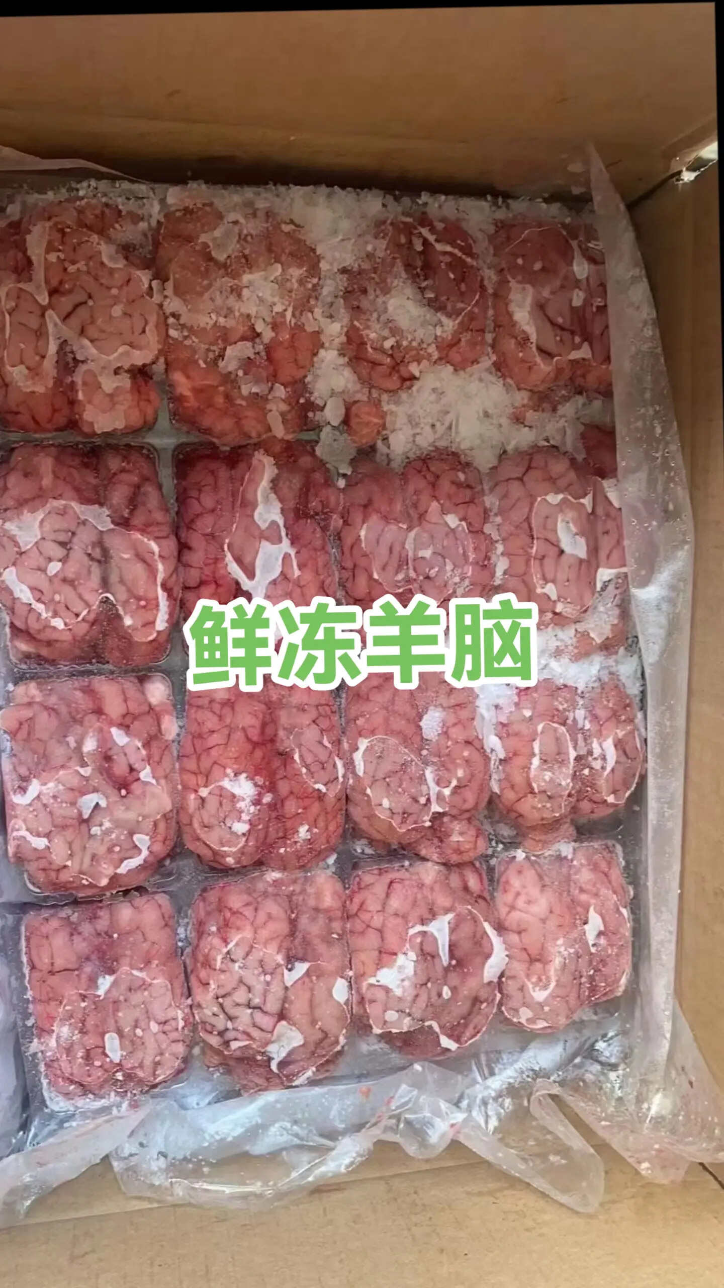 羊副产品 口感滑嫩 营养丰富 健脑滋补 羊脑