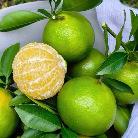 全国一件代发，【德庆皇帝柑】精选大果产地现摘现发