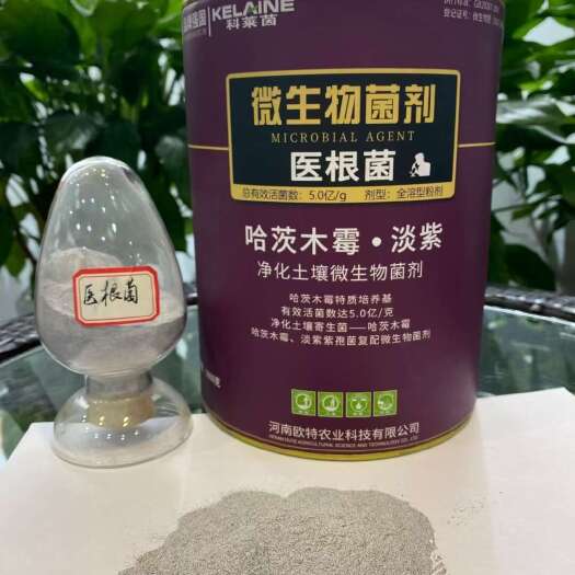 治黑根烂根重茬连作死棵烂苗不伤根持续长菌剂灌根五天见新根