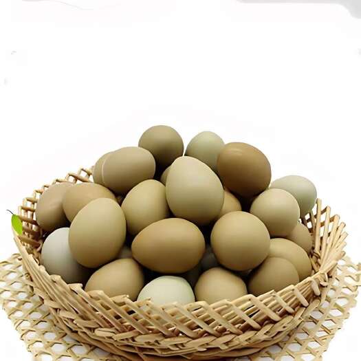 鸡蛋