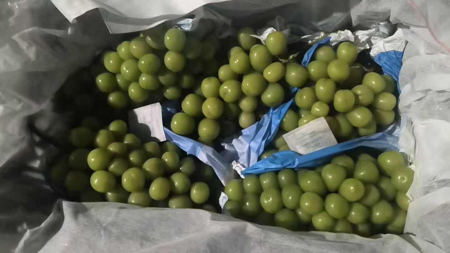 冷库库存高捡下捡阳光玫瑰葡萄现货供应欢迎采购