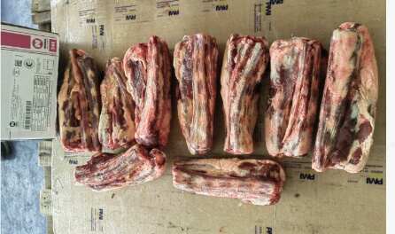 上海冷冻牛尾 乌拉圭原产地