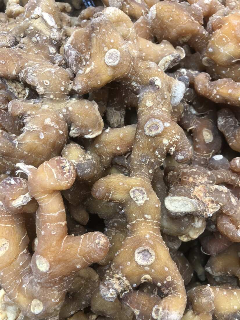 中药材黄精甜黄精蒸过一次的精选包邮