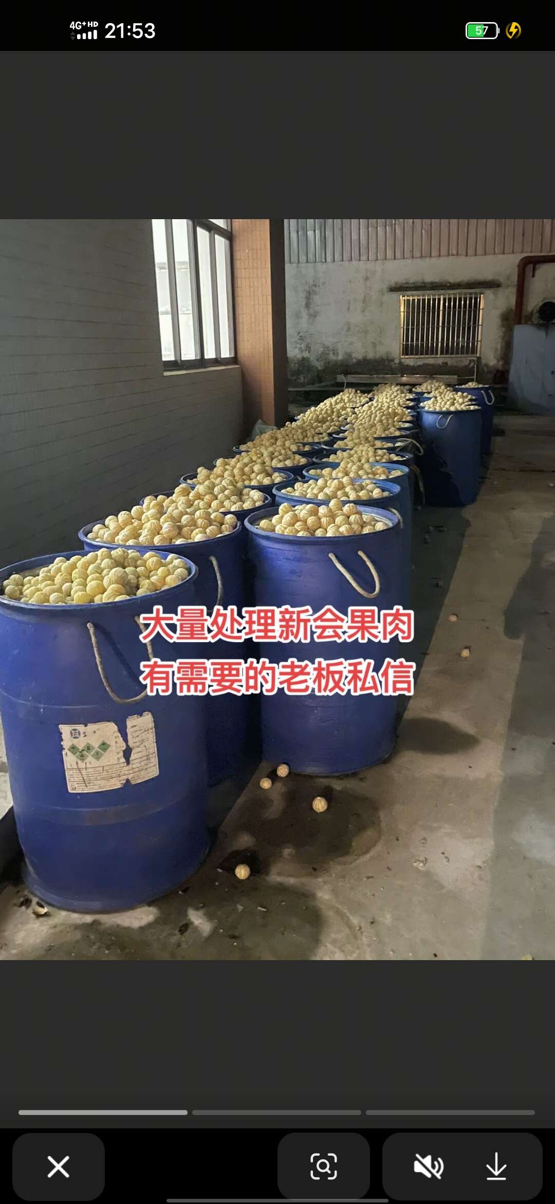 广东新会柑 新鲜柑桔产地直发