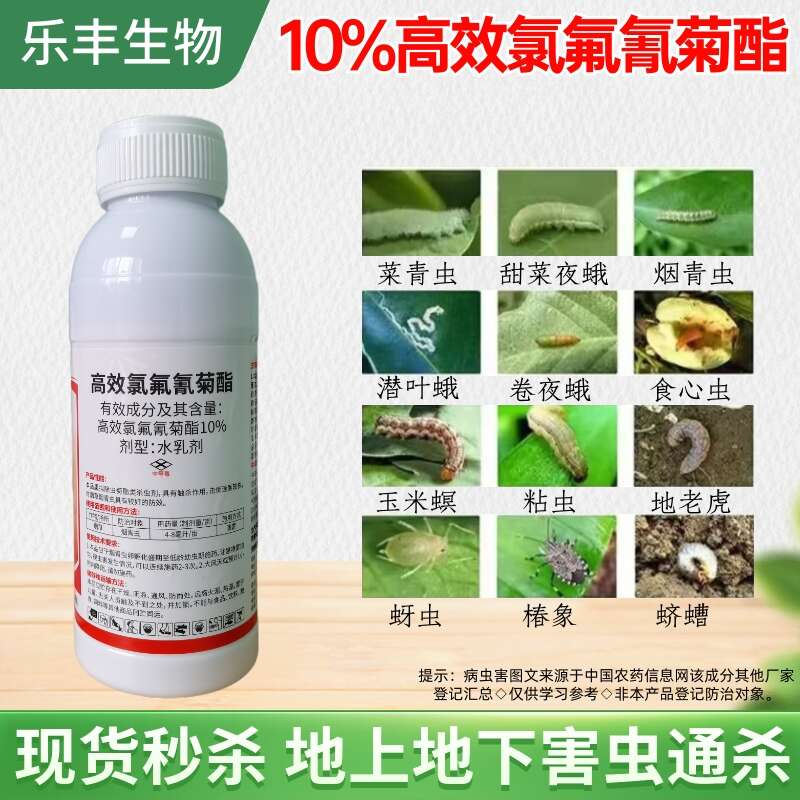 10%高效氯氟氰菊酯 防治菜青虫 钻心虫食心虫地下害虫保品质