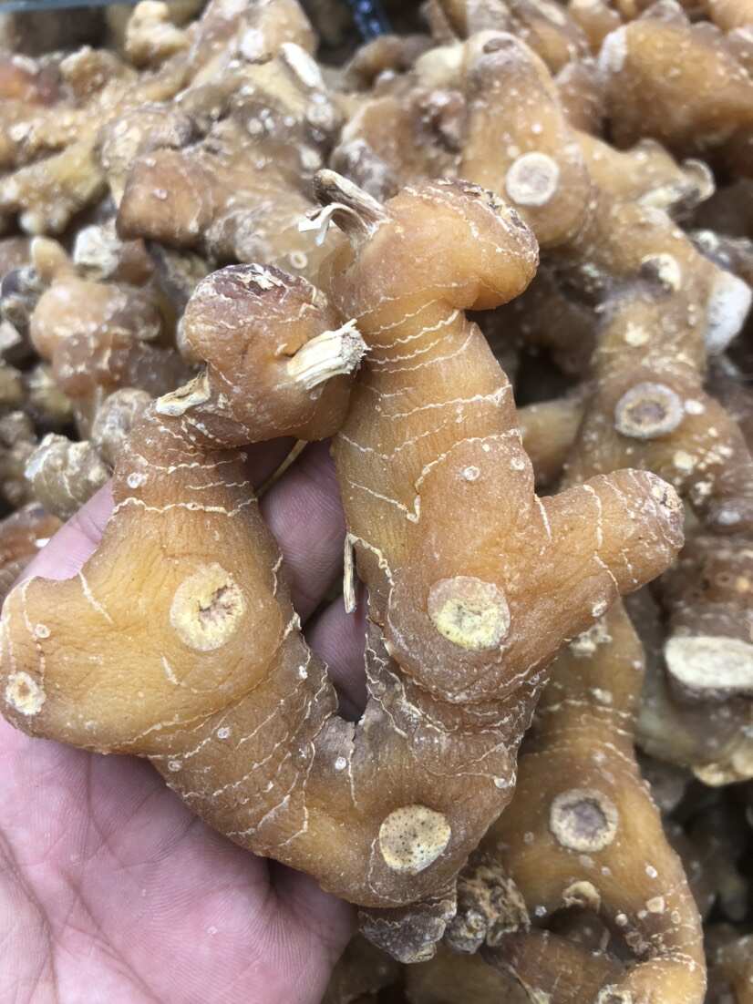 中药材黄精甜黄精蒸过一次的精选包邮