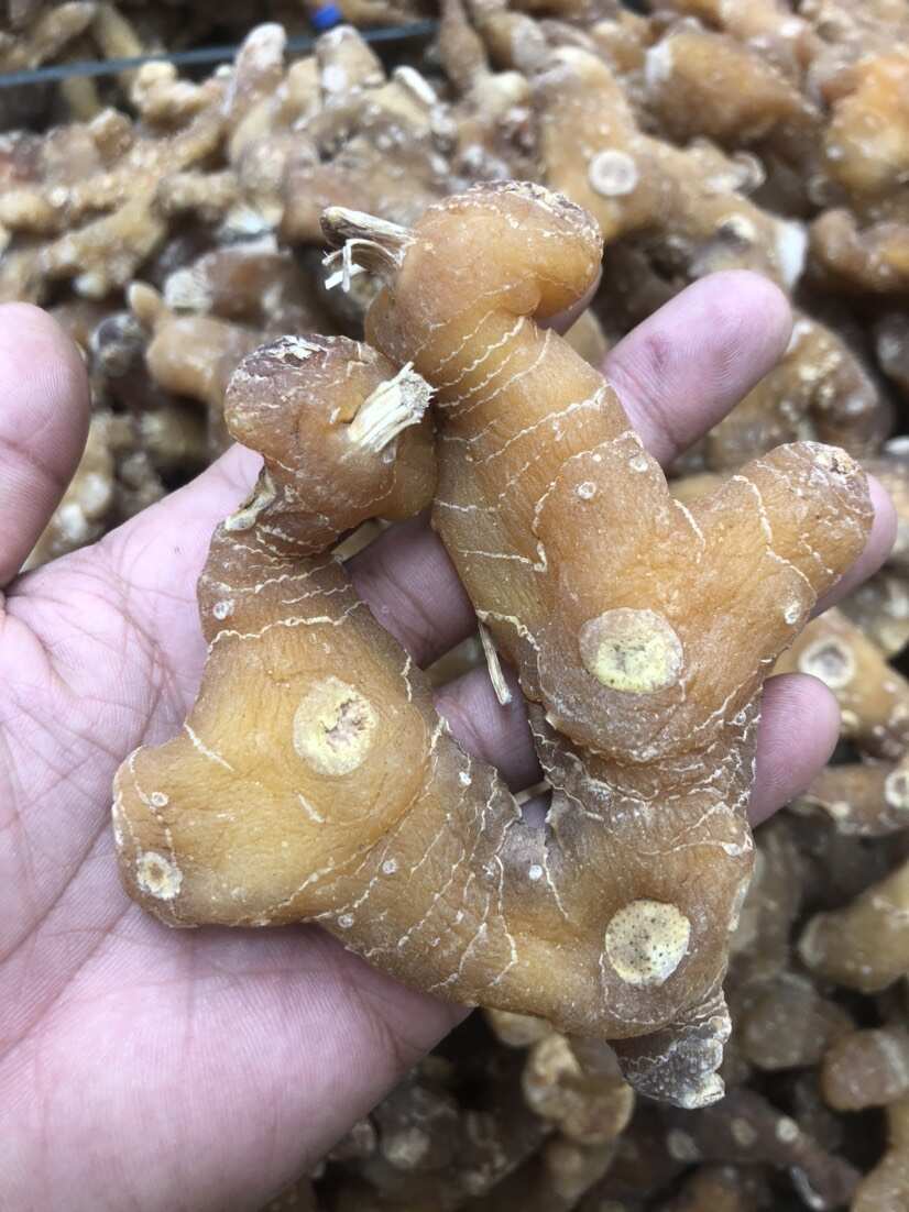 中药材黄精甜黄精蒸过一次的精选包邮