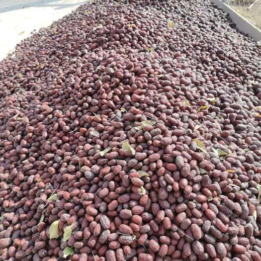 合肥【新疆产地直供】灰枣与骏枣 农家自种干货 零食煲汤食材