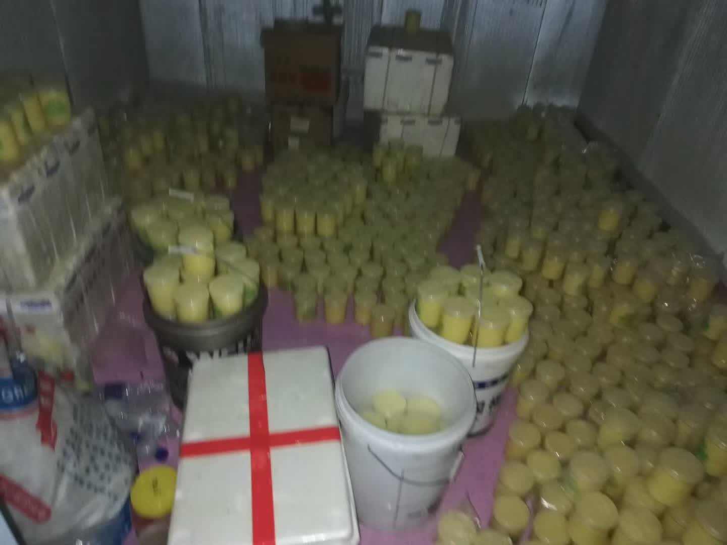 蜂王浆，蜜源期提取的，保证当天现取现冻，浆花浆朵十分明显。