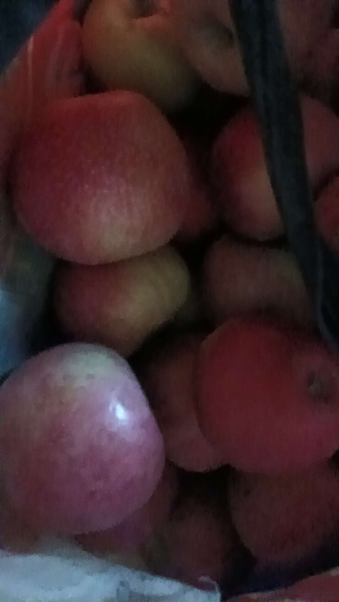 秦冠苹果 光果 片红 60mm以上