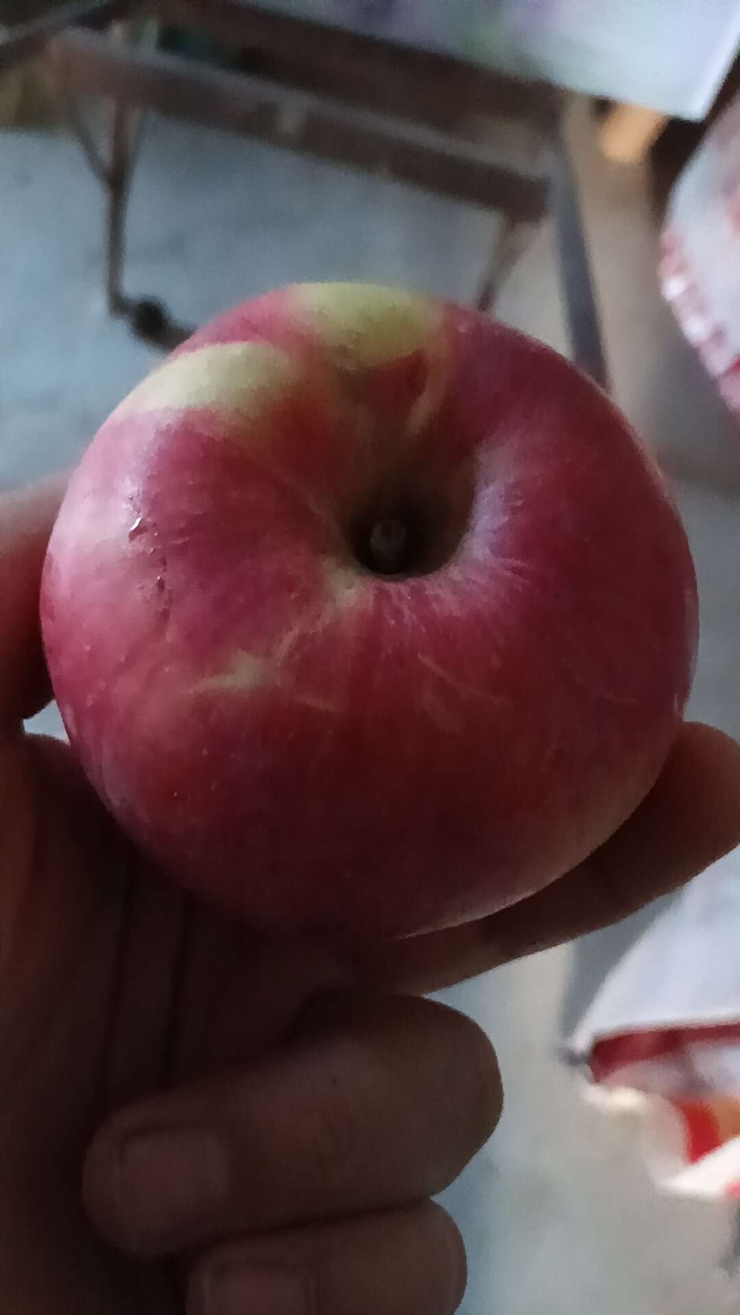 秦冠苹果 光果 片红 60mm以上