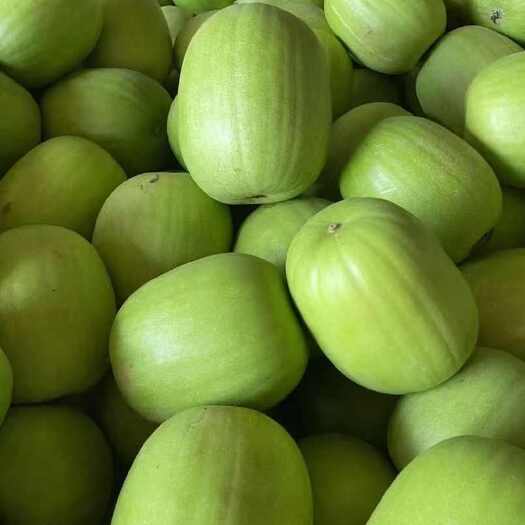 南宁新品：香芋冬瓜（炒、炖、沙拉有香芋的清香味），产地：广西武鸣