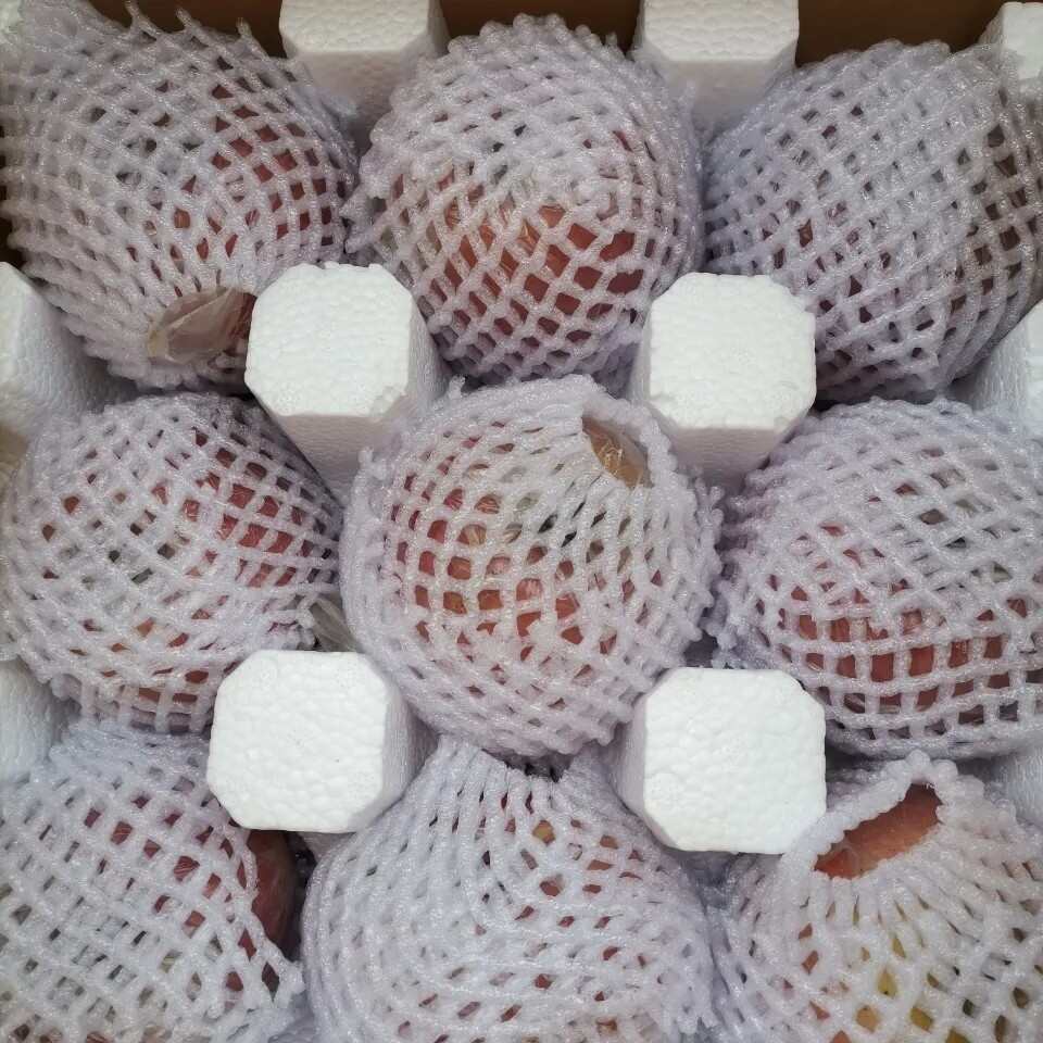 秦冠苹果 光果 片红 60mm以上