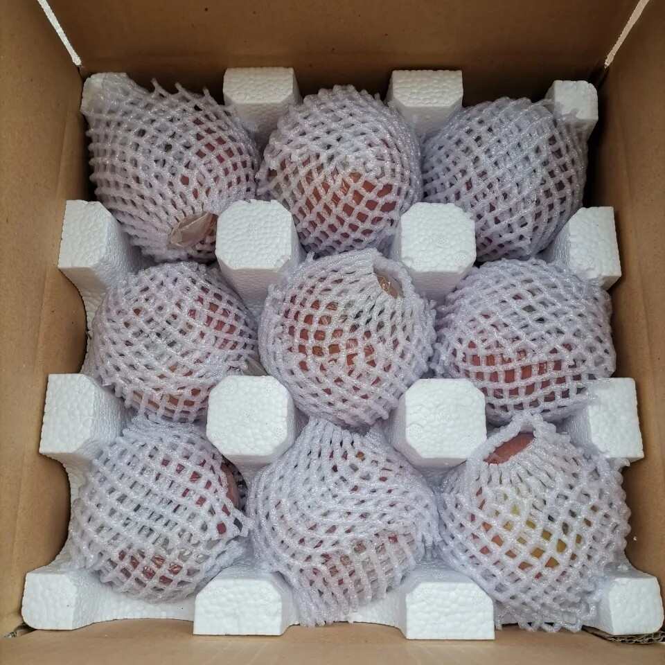 秦冠苹果 光果 片红 60mm以上