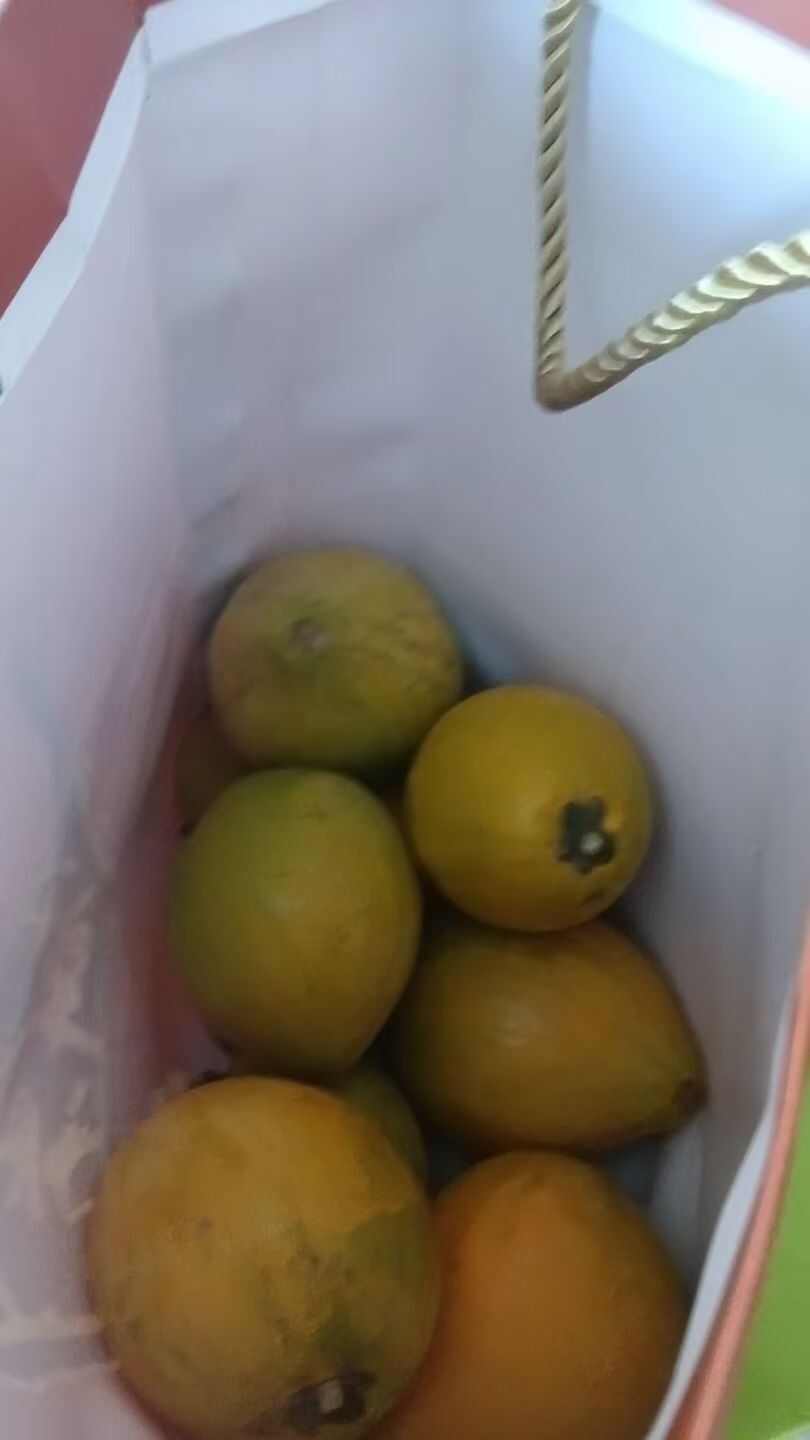 样品果，需要识货的看