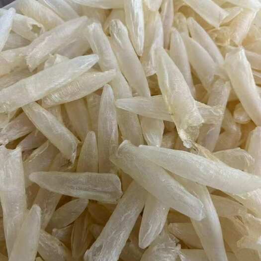 广州鱼胶花胶白花胶白花筒一手货源