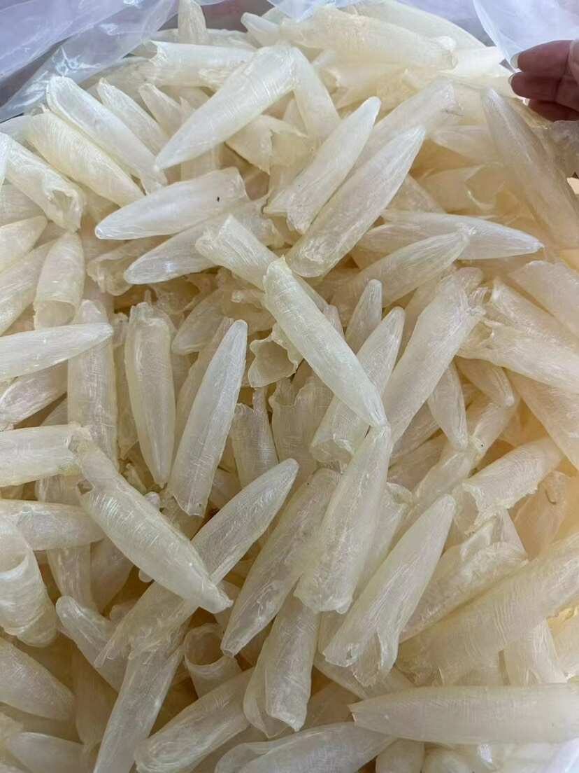 鱼胶花胶白花胶白花筒一手货源